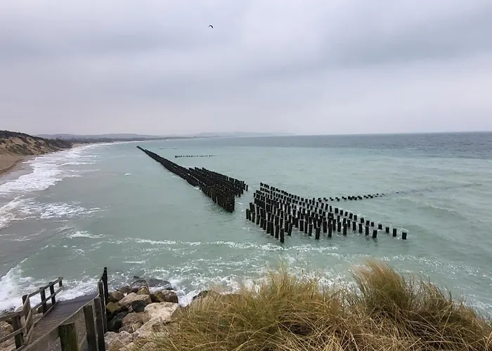 Le Repere Des Surfeurs